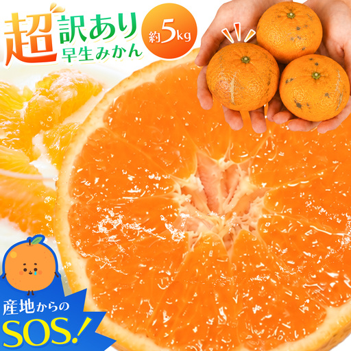 超訳あり早生みかん 約5kg みかん