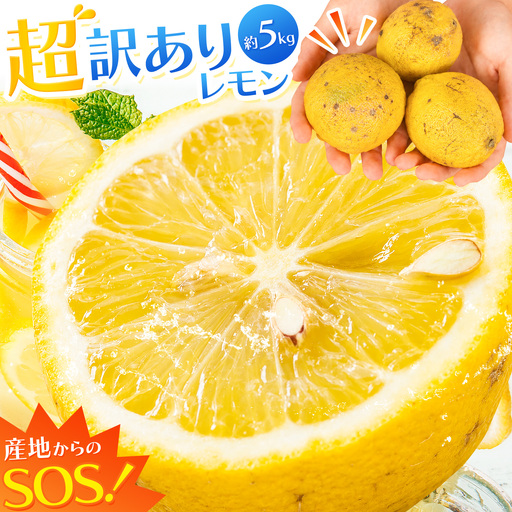 超訳ありレモン 約5kg レモン