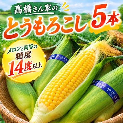 [予約受付 R9年 7月 中旬以降 発送開始 予定]髙橋さんの とうもろこし 5本 2027年度[メロンと同等の糖度14度以上]岩手県 北上市 A0147 旬 季節 食材 野菜 甘い 美味しい 岩手 とうもろこし予約