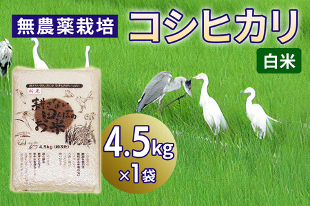 無農薬栽培 コシヒカリ 白米[4.5kg] | 米 お米 コメ ご飯 お取り寄せ 贈り物 上原農場 埼玉県 杉戸町