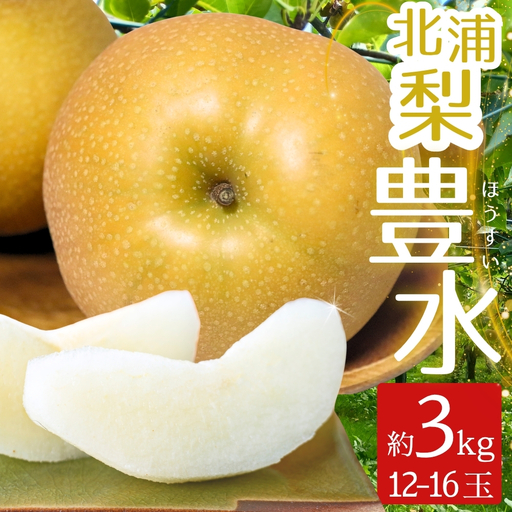 梨 豊水 北浦梨 3kg (12〜16玉)|なし ナシ 北浦 美里 ほうすい 自家用 贈答 [okjn002]