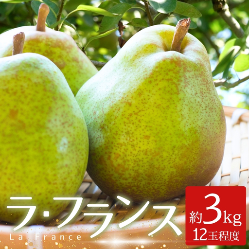 洋梨 ラ・フランス 3kg (12玉程度)|なし ナシ 洋ナシ 洋なし 北浦 美里 ラフランス 自家用 贈答 [okjn004]