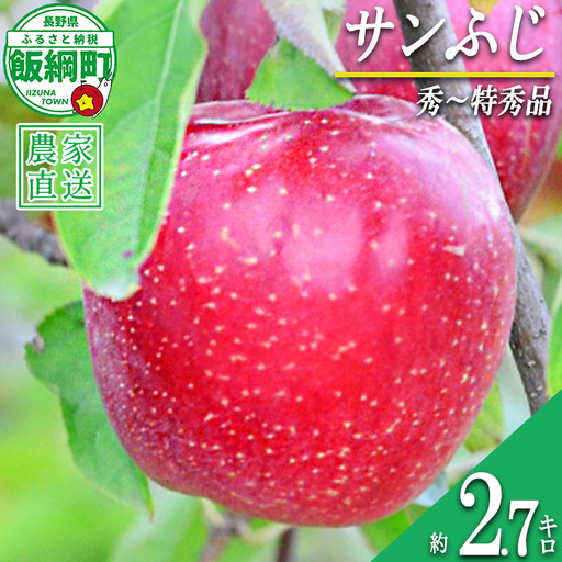 サンふじ 秀〜特秀 2.7kg いいづな松橋園 2026年12月上旬頃から2026年12月下旬頃までお申込み順に発送予定 令和8年度収穫分 リンゴ アップル サンフジ サンふじ 長野県 飯綱町 [2135]