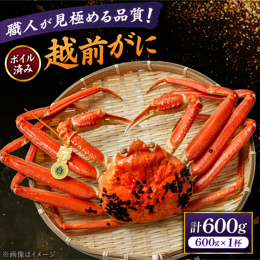 [先行予約/11月18日より順次配送]越前がに 600g×1杯 茹で 福井県産ズワイガニ / かに カニ 蟹 越前ガニ ズワイガニ ボイル / 小浜市 / 一進わかさ[配送不可地域:北海道・沖縄・離島][BFES001]