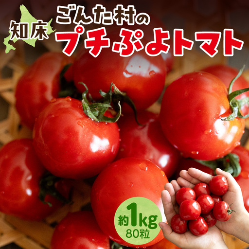 [新鮮]知床斜里町産 プチぷよトマト(赤) 約1kgセット(80粒) | トマト ミニトマト プチトマト 野菜 北海道 斜里町