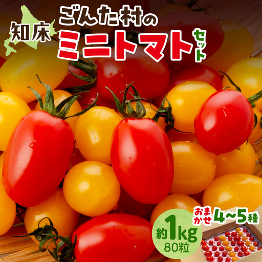 [新鮮]知床の斜里町産 採れたてミニトマト4〜5種セット 約1kg(80粒) | トマト ミニトマト プチトマト 野菜 北海道 斜里町
