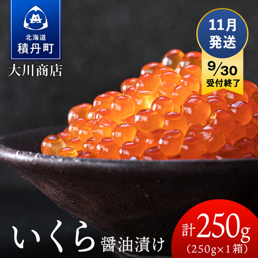 【9月30日受付終了】≪11月発送≫いくら醤油漬け250g1箱＜大川商店＞