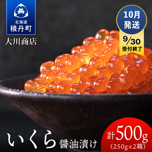 【9月30日受付終了】≪10月発送≫いくら醤油漬け250g2箱＜大川商店＞