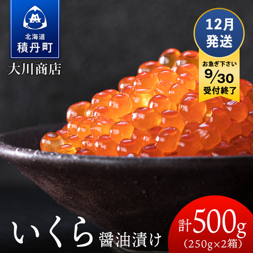 ≪12月発送≫いくら醤油漬け250g2箱＜大川商店＞