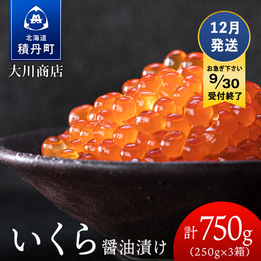 ≪12月発送≫いくら醤油漬け250g3箱＜大川商店＞