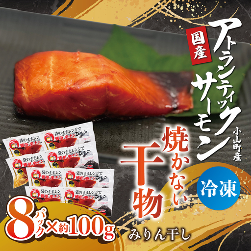 焼かない干物 アトランティックサーモン みりん干し 8P 干物