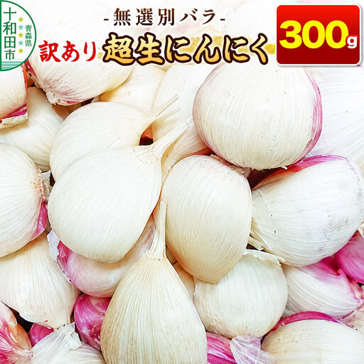 訳あり 超生にんにく 無選別バラ300g 青森県産