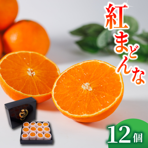 紅まどんな Mサイズ 12個 紅まどんな