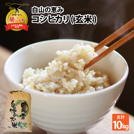 [先行予約]白山の恵み 令和8年度産 コシヒカリ玄米(10kg)※2026年10月上旬以降順次発送予定 [A-009012]
