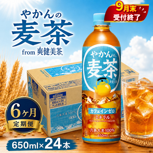 6ヶ月 定期便 やかんの麦茶 PET 650ml × 24本 セット 麦茶