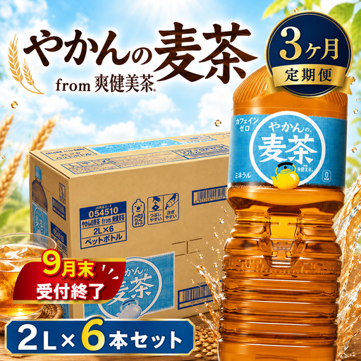 3ヶ月 定期便 やかんの麦茶 PET 2L × 6本 セット 麦茶
