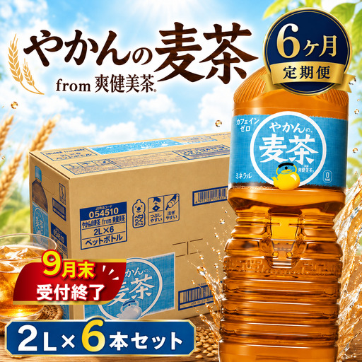 [6ヶ月 定期便 ] やかんの麦茶 PET 2L × 6本 セット [9月末掲載終了]