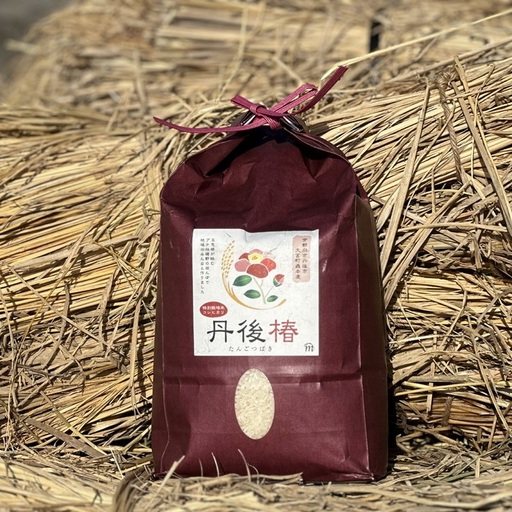 令和8年産 特別栽培米コシヒカリ 丹後椿（京丹後森本産） 2kg【定期便6回】