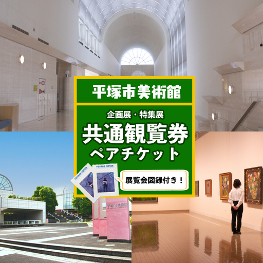 平塚市美術館 共通観覧券 ペアチケット 図録付き