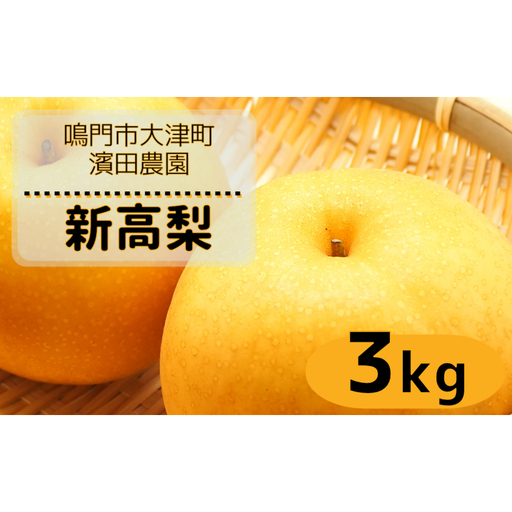 [予約受付中][9月下旬〜10月上旬より順次発送][濱田農園] 新高梨 約3kg [数量限定]