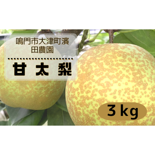 [予約受付中][10月上旬〜中旬より順次発送][濱田農園] 甘太梨 約3kg [数量限定]