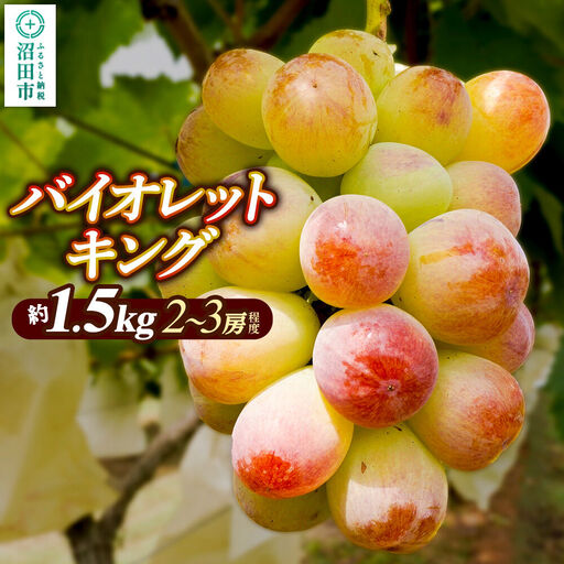 ぶどう バイオレットキング 約1.5kg(2〜3房程度) ぶどう農園 ラ・テール 沼田市産
