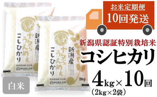 【令和8年産新米・10ヶ月定期便】コシヒカリ 白米 4kg（2kg×2袋）×10回（計 40kg）ヤタらうんめぇ お米 水田環境鑑定士在籍[Y0510]