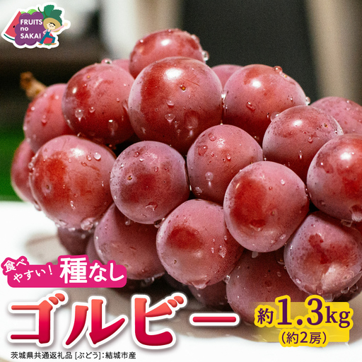 ゴルビー 約1.3kg(約2房)[2026年9月より発送開始](茨城県共通返礼品 [ぶどう]:結城市産) │ ぶどう 赤ぶどう 高級 希少品種 大粒 甘い 果物 フルーツ 旬