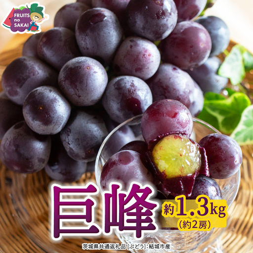 巨峰 約1.3kg(約2房)[2026年7月より発送開始](茨城県共通返礼品 [ぶどう]:結城市産) │ ぶどう 果物 フルーツ デザート 茨城県 ギフト 高級 旬
