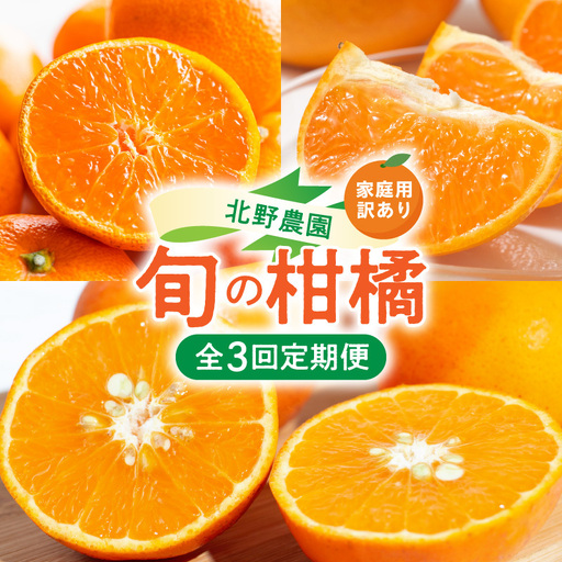 北野農園の旬の柑橘定期便(訳あり・家庭用)[全3回]_DZ60-T01