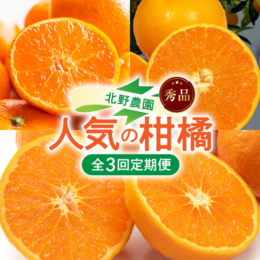 北野農園の人気の柑橘定期便(秀品)[全3回]_DZ60-T02