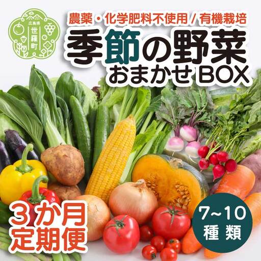 【3か月】季節の野菜詰め合わせセット 7～10類 A079-02
