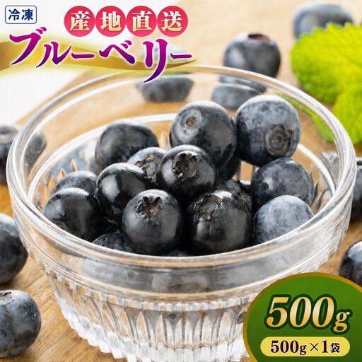 冷凍ブルーベリー 500g | 冷凍便 フルーツ 果物 くだもの ベリー 低農薬 健康 産地直送 健康 おやつ 美容 完熟 こだわり | 奈良県 五條市