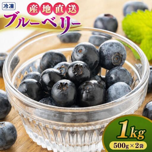 冷凍ブルーベリー 1kg(500g×2袋) | 冷凍便 フルーツ 果物 くだもの ベリー 低農薬 健康 産地直送 健康 おやつ 美容 完熟 こだわり | 奈良県 五條市