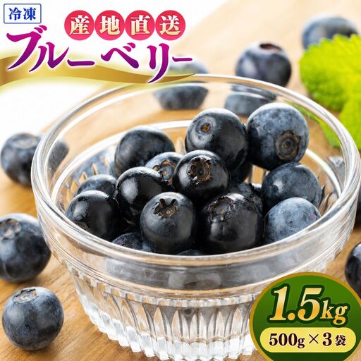 冷凍ブルーベリー 1.5kg（500g×3袋）  | 冷凍便 フルーツ 果物 くだもの ベリー 低農薬 健康 産地直送 健康 おやつ 美容 完熟 こだわり | 奈良県 五條市