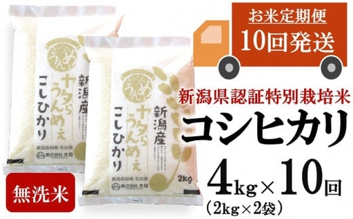 【令和8年産新米・10ヶ月定期便】コシヒカリ 無洗米 4kg（2kg×2袋）×10回（計 40kg）ヤタらうんめぇ お米 水田環境鑑定士在籍[Y0511]