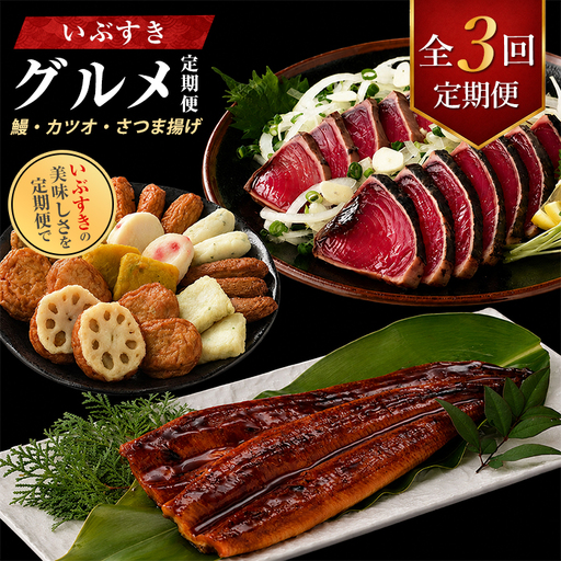 【全３回定期便】鰻・カツオ・さつま揚げ いぶすきグルメ定期便 IBZ999-021