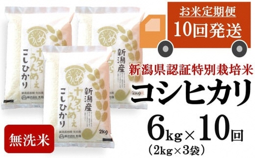 【令和8年産新米・10ヶ月定期便】コシヒカリ 無洗米 6kg（2kg×3袋）×10回（計 60kg）ヤタらうんめぇ お米 水田環境鑑定士在籍[Y0513]