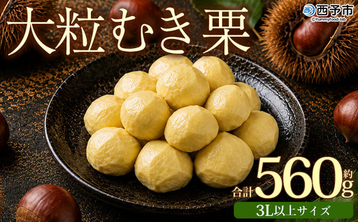 [大粒むき栗 約280g×2袋]『9月中旬から順次出荷予定』 和栗 皮なし くり おおつぶ 大きい 幻の栗 甘い 新鮮 栗ごはん 栗きんとん 剥き栗 甘露煮 旬 国産 お取り寄せ 旬 特産品 国産 秋の味覚 真空パック 長期保存 皮むき不要 おせち 小屋敷農園[冷凍]SKN0003