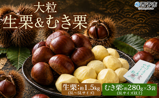 [大粒生栗&むき栗 合計約2.34kg]『9月上旬から順次出荷予定』 和栗 生栗 くり おおつぶ 大きい 甘い 新鮮 栗ごはん 栗きんとん 剥き栗 甘露煮 旬 国産栗 お取り寄せ 旬 特産品 国産 秋の味覚 真空パック 長期保存 食べ比べ おせち 小屋敷農園[冷蔵]SKN0004