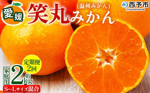 [愛媛県明浜産 笑丸みかん(温州みかん)定期便2回 約2kg S〜L混合] 家庭用 訳あり ワケアリ 果物 くだもの フルーツ ミカン 柑橘 特産品 笑丸 愛媛県 西予市[常温]『2026年11月頃に第1回目順次出荷予定』AAN0107
