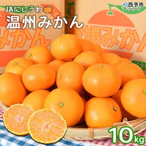 ＜JAにしうわ 温州みかん 約10kg＞ 果物 フルーツ くだもの 温州ミカン 蜜柑 柑橘類 食べて応援 特産品 甘い 旬 西宇和農業協同組合 愛媛県 西予市 【常温】『2025年11月中旬～12月中旬迄に順次出荷予定』ONN0002
