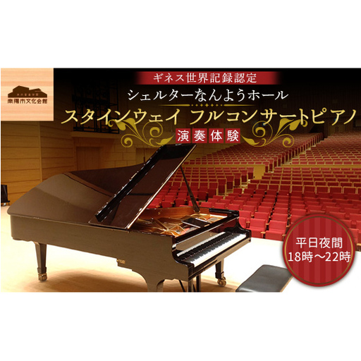 スタインウェイ フルコンサートピアノ 演奏体験 平日夜間 『シェルターなんようホール』 ギネス世界記録認定ホール 山形県 南陽市 [2721]