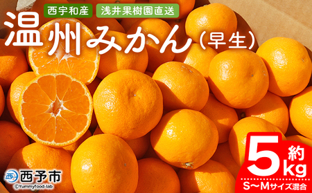 先行予約 ＜浅井果樹園 温州みかん 約5kg（早生）＞ 柑橘 果物 フルーツ ミカン 蜜柑 オレンジ うんしゅうみかん ウンシュウミカン 選べる ワセ 食べて応援 特産品 西宇和 愛媛県 西予市 【常温】『2025年11月中旬～12月上旬迄に順次出荷予定』MAK0001