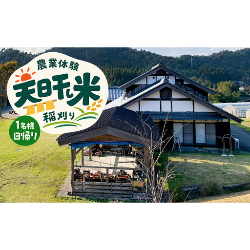 〜天日干し米 稲刈り〜 農業体験 1名様 日帰り