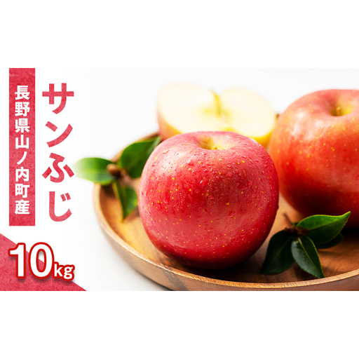 サンふじ10kg箱（20～40玉）家庭用 産地直送 ふるさと納税 果物 くだもの フルーツ サンフジ リンゴ りんご 林檎 信州 志賀高原麓 長野県山ノ内町産