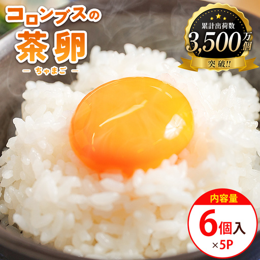 たまご コロンブスの茶卵 6個入×5P 卵が苦手な子どもも食べられた! kl-0004