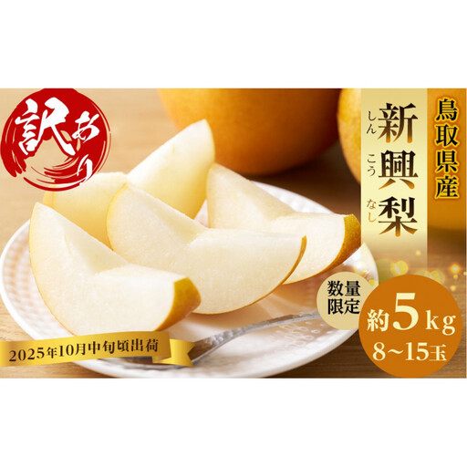 【先行予約】訳あり 数量限定 鳥取県産 新興梨（しんこうなし） 約5kg （8～15玉）≪2026年10月中旬頃出荷≫