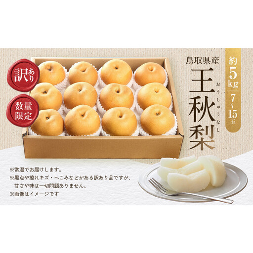 【先行予約】訳あり 数量限定 鳥取県産 王秋梨（おうしゅうなし） 約5kg （7～15玉）≪2026年11月中旬頃出荷≫
