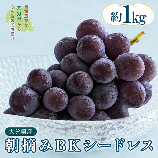 大分県産 BKシードレス 約1kg (2〜3房) 2B6
